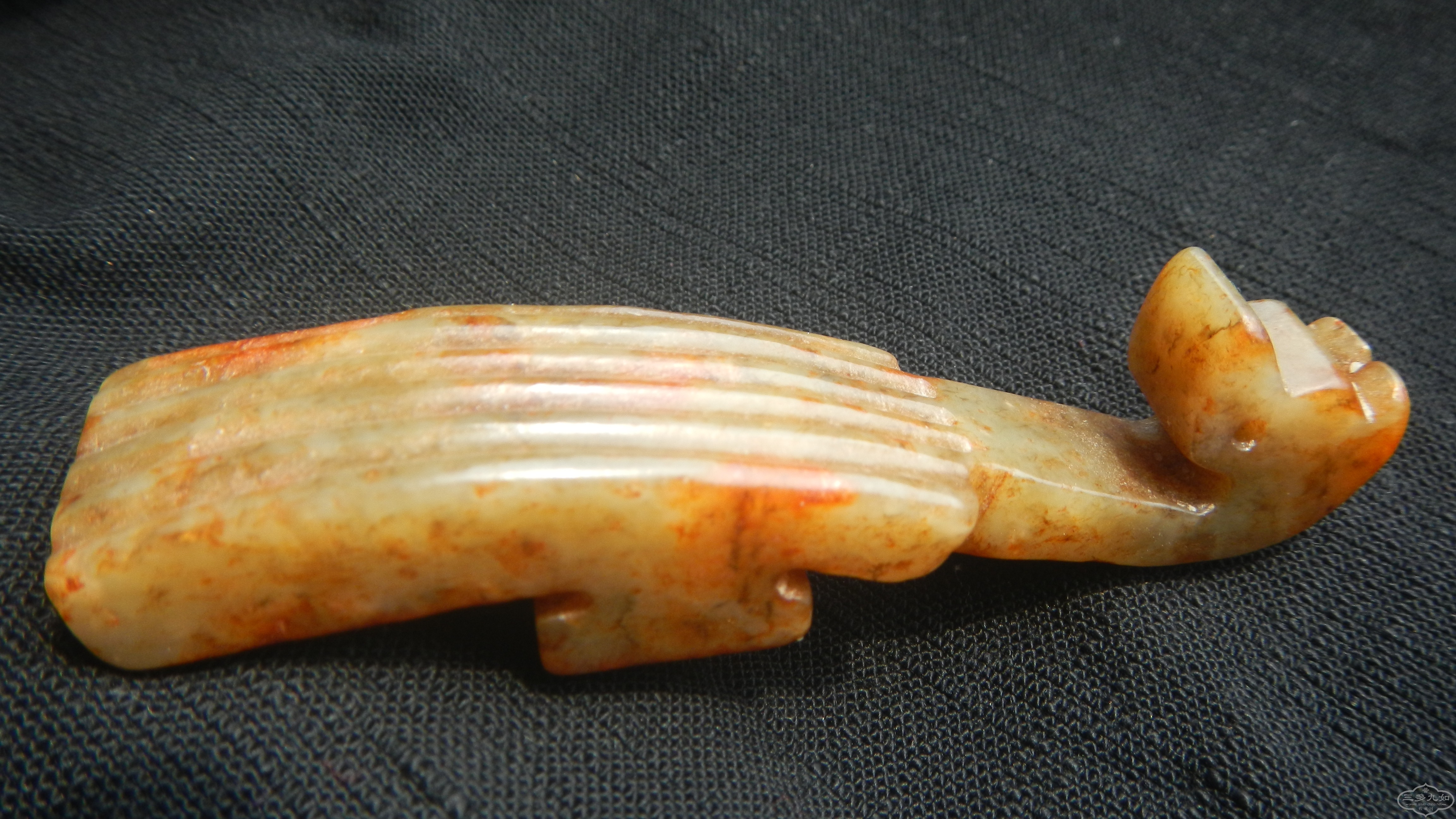 DSCN1353.JPG