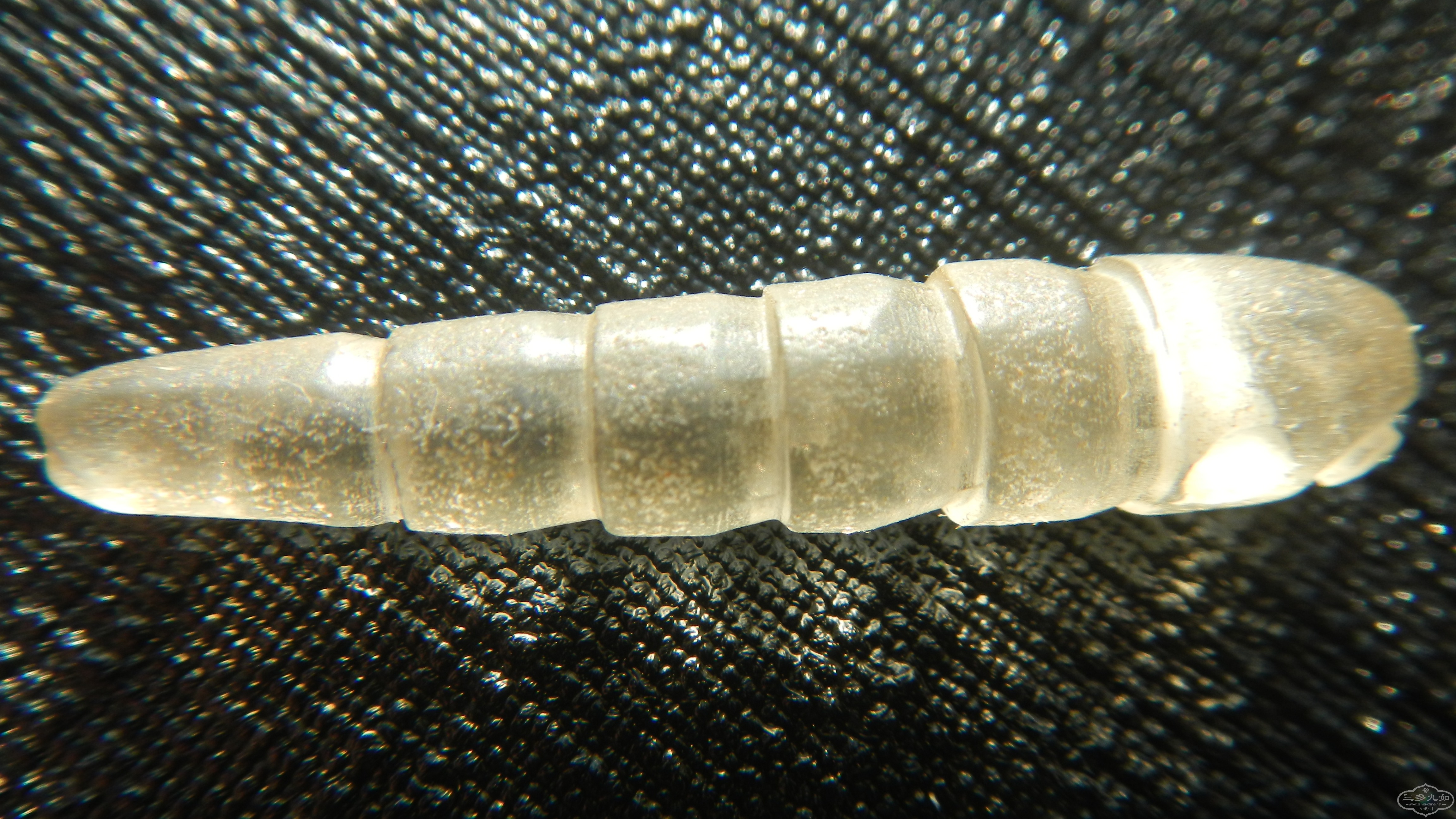 DSCN5124.JPG