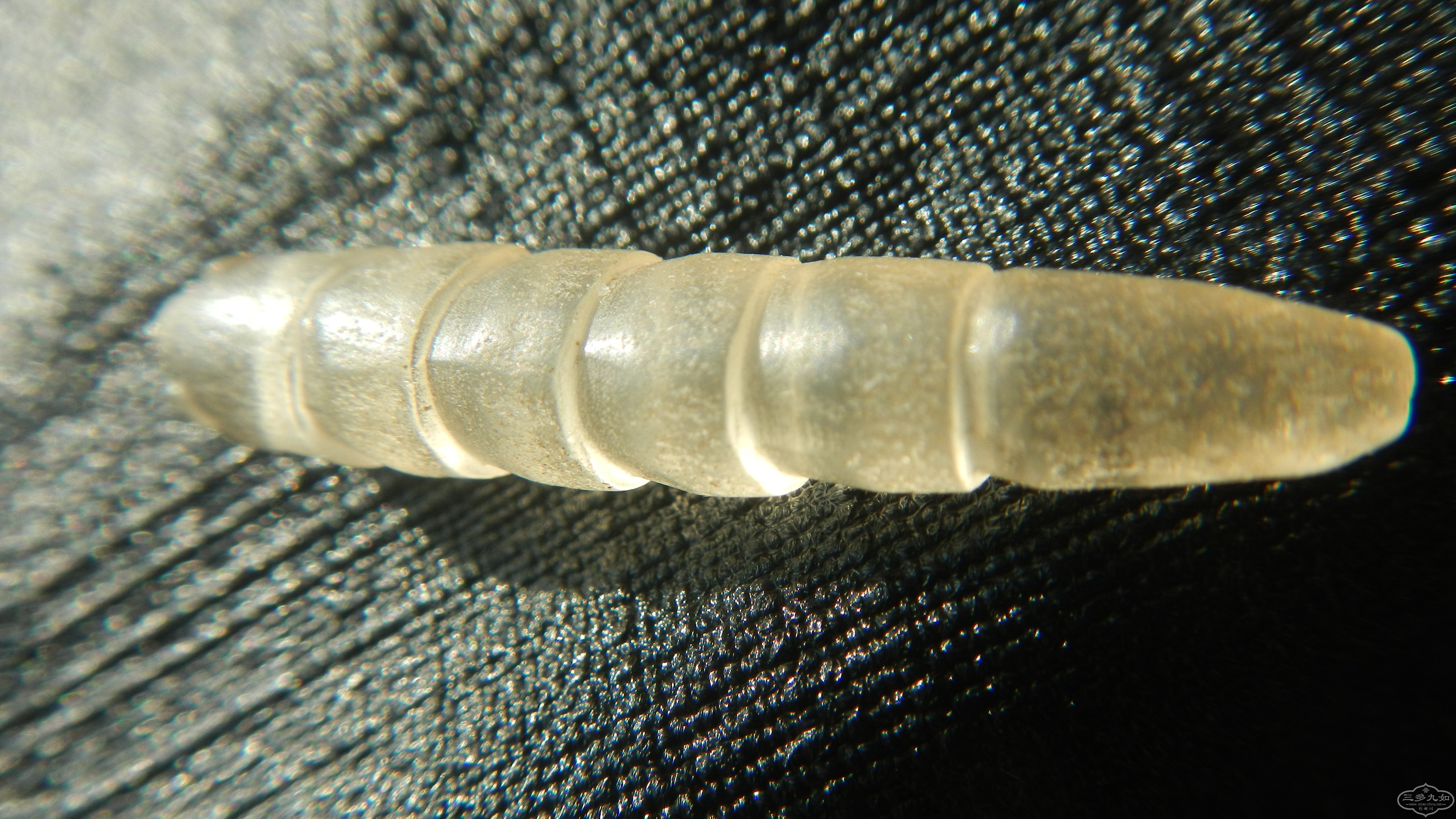 DSCN5127.JPG