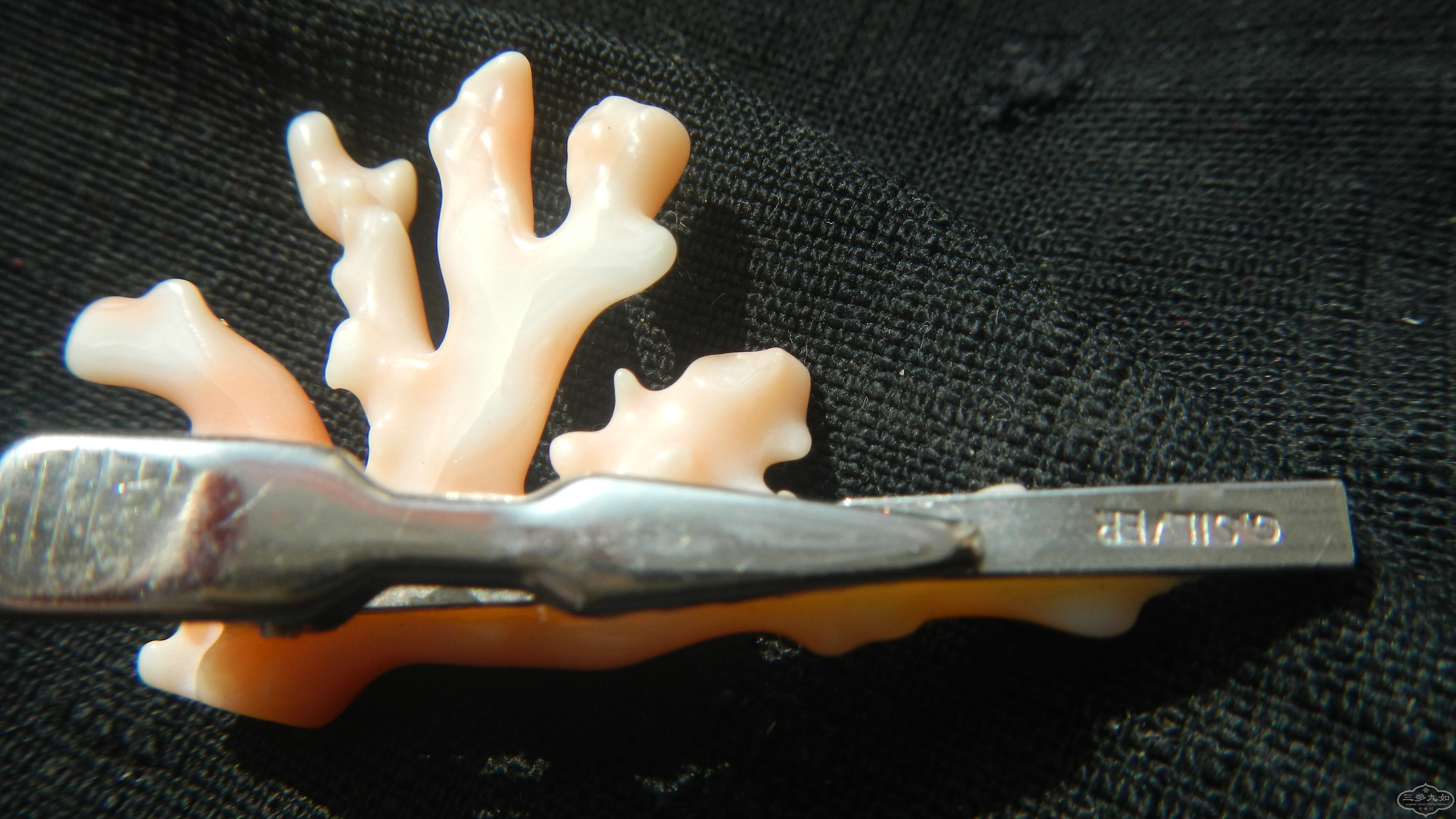 DSCN5849.JPG