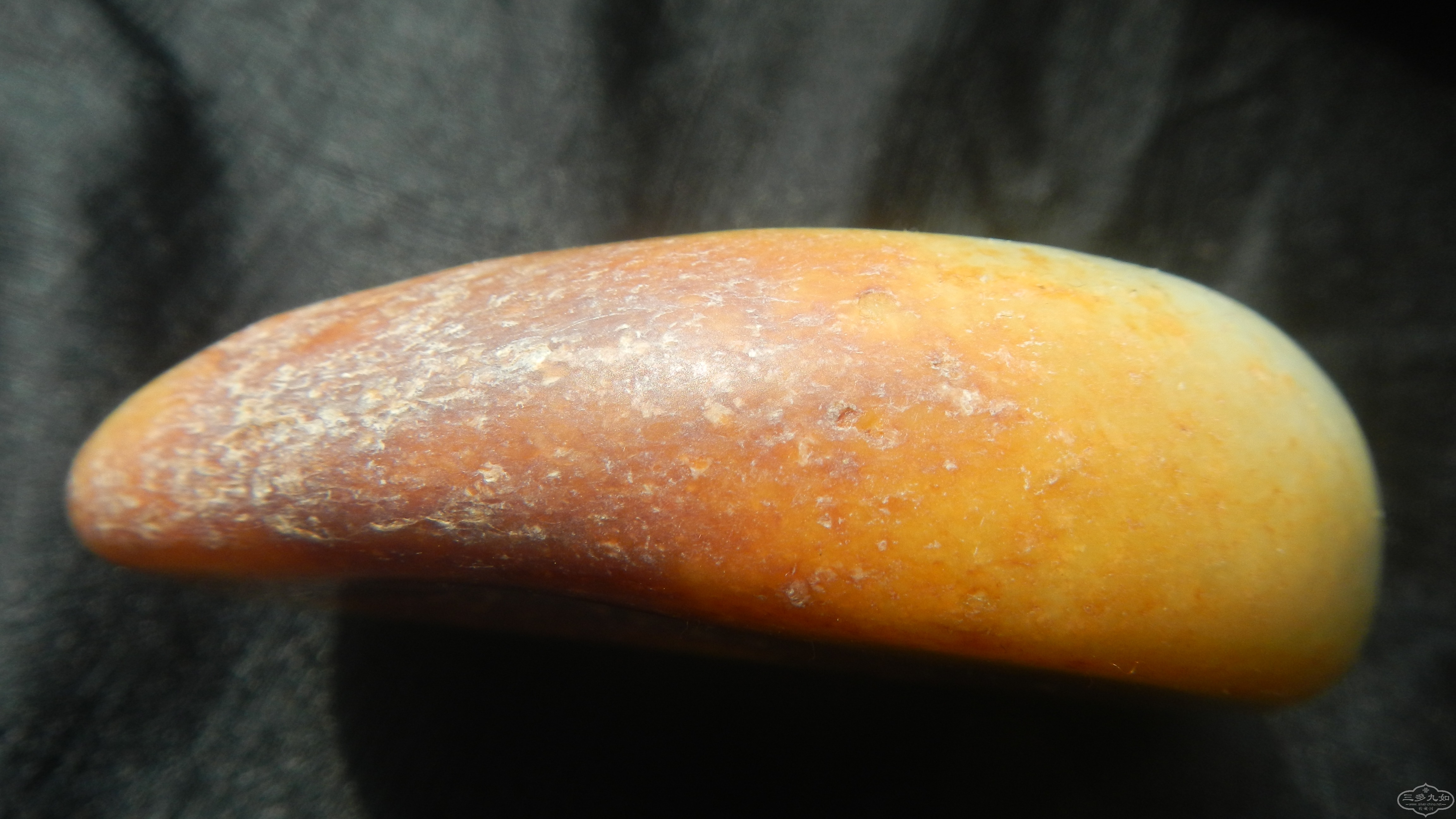 DSCN6287.JPG