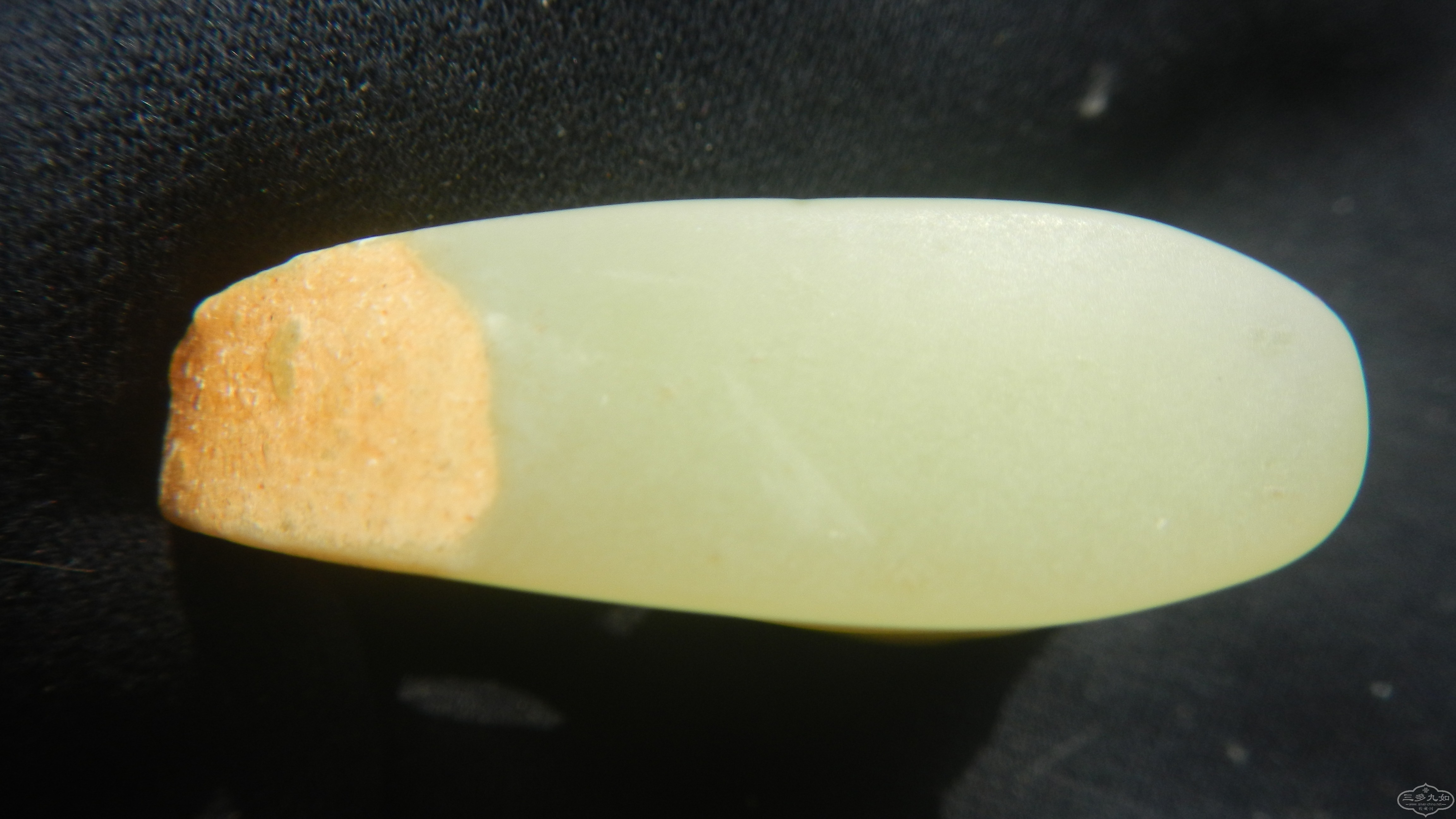 DSCN7467.JPG