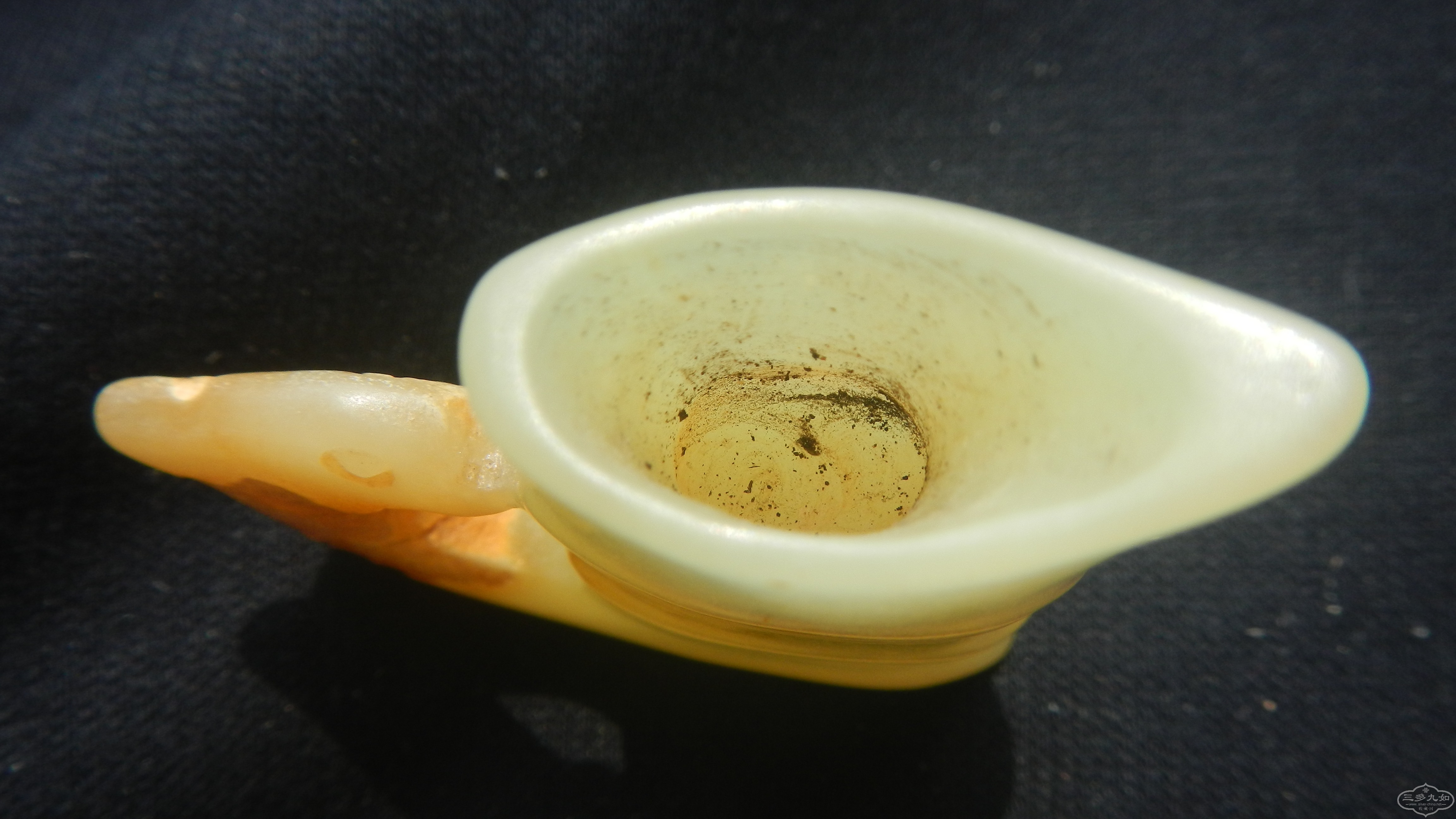 DSCN7469.JPG