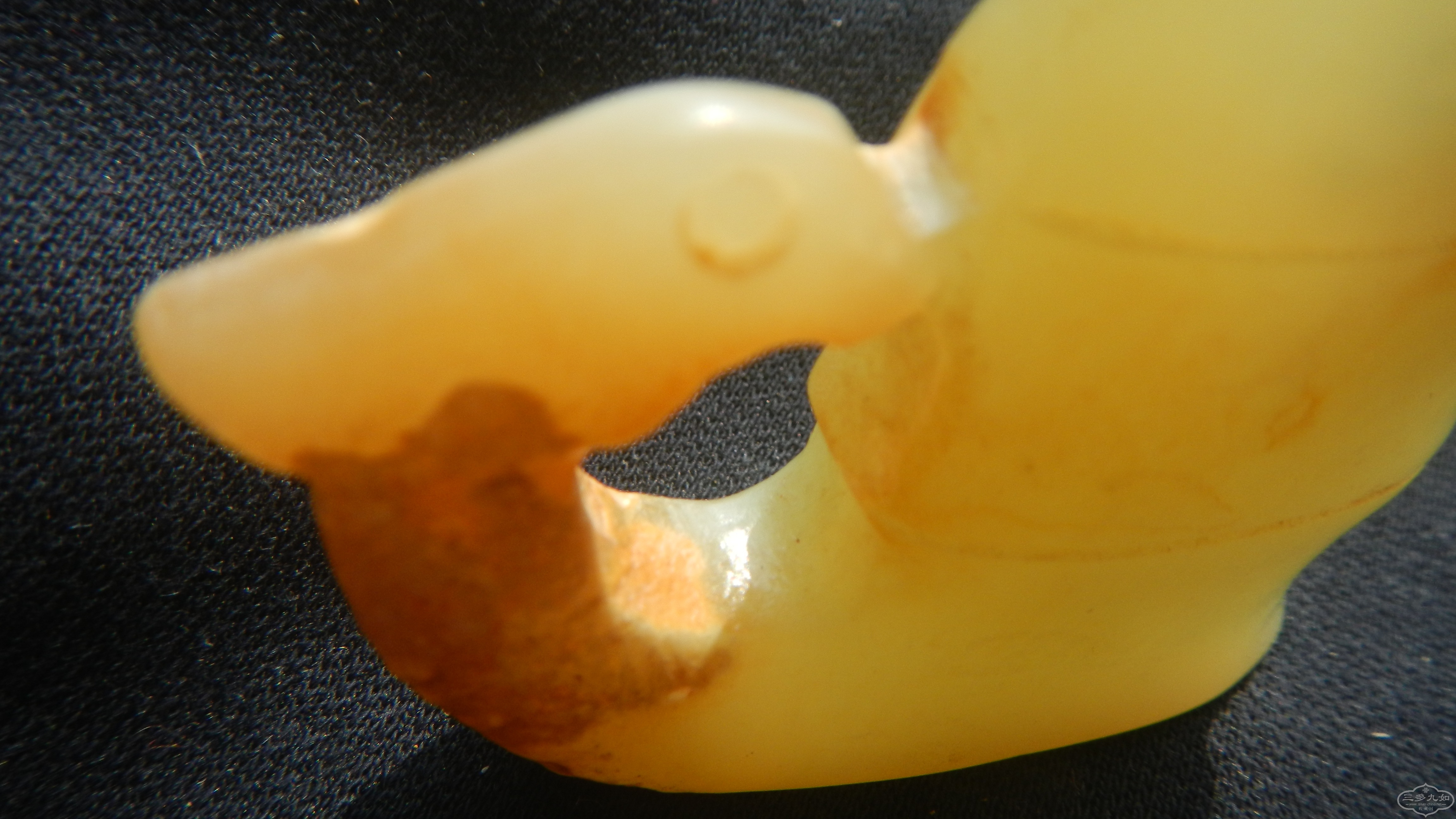 DSCN7470.JPG
