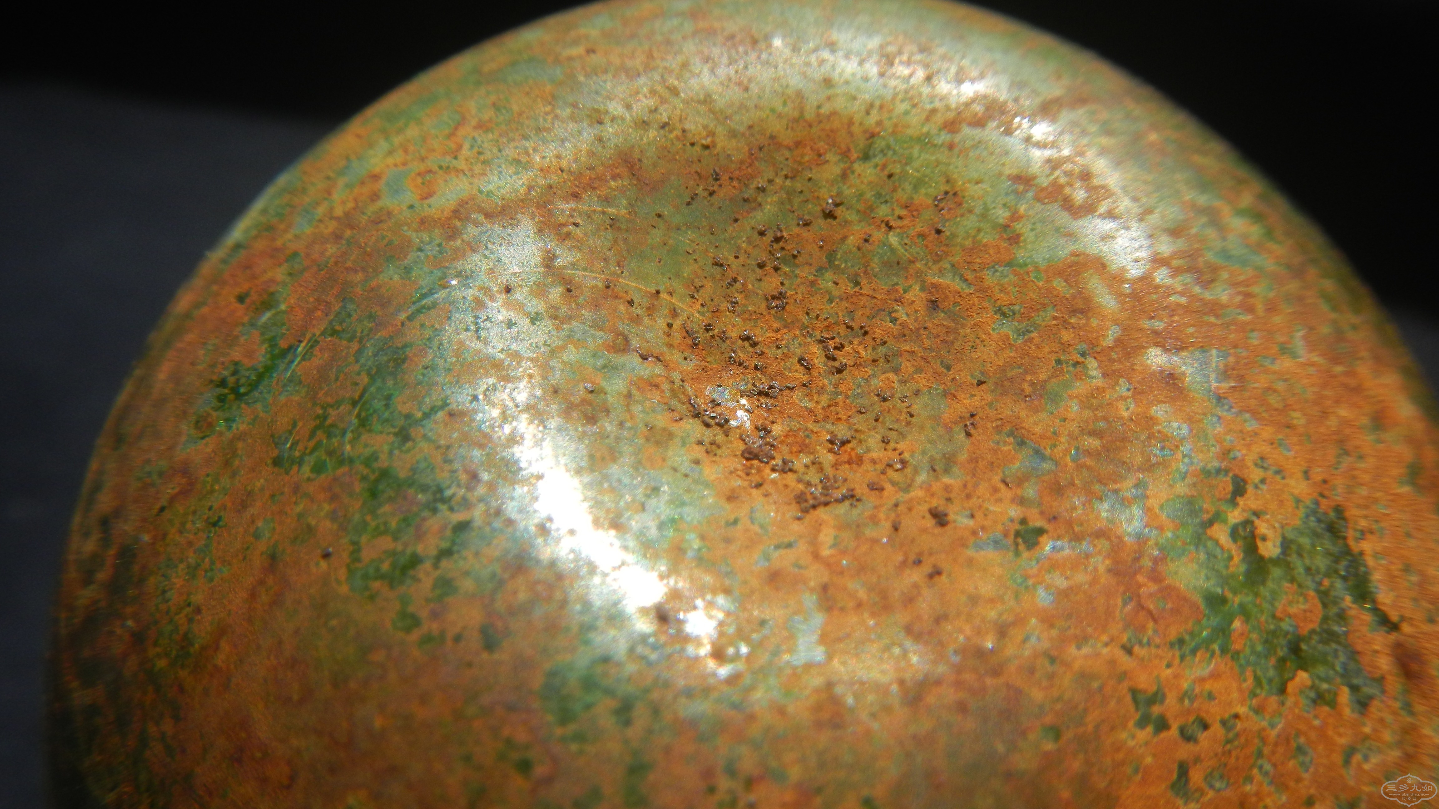 DSCN7505.JPG