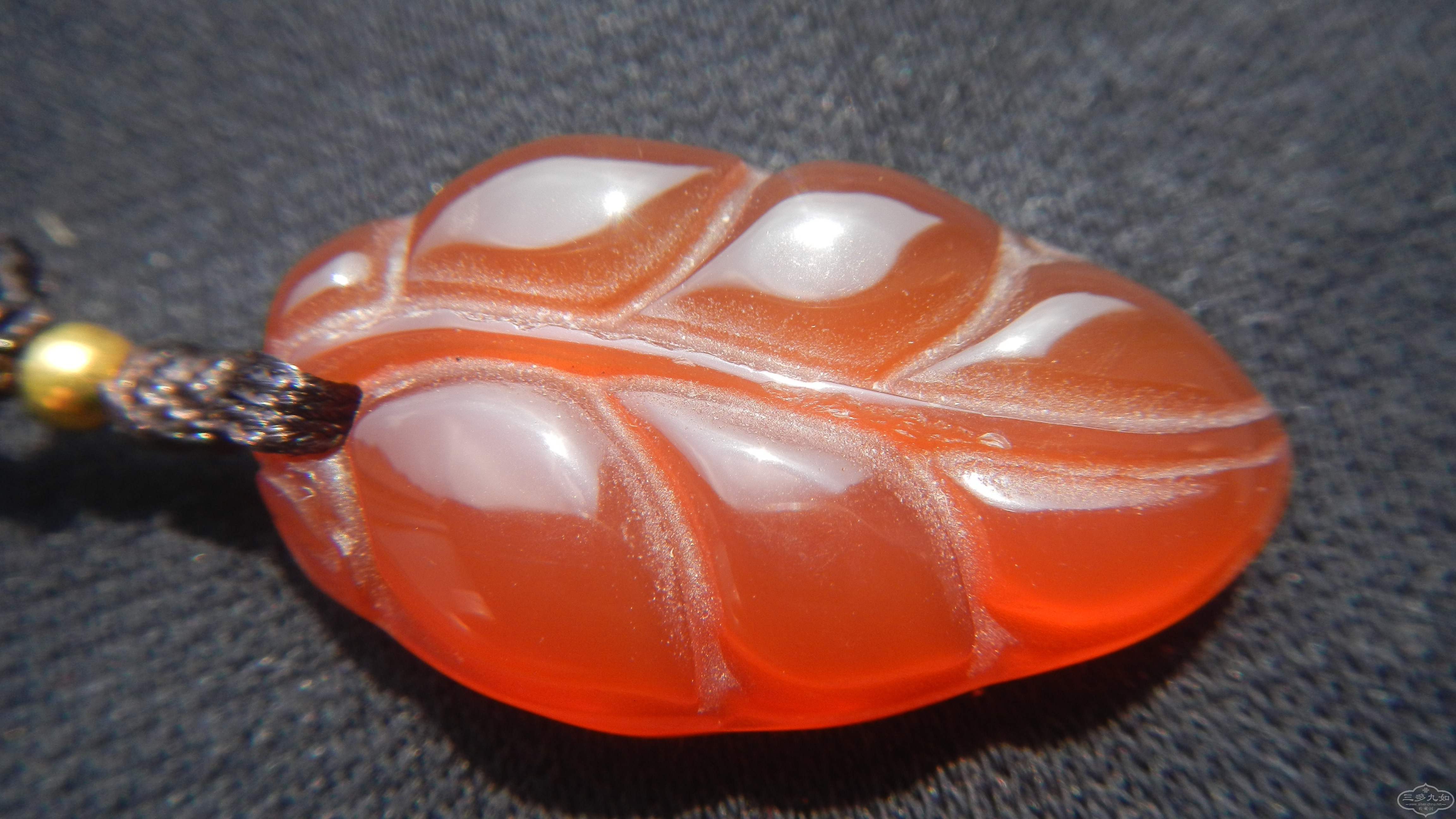DSCN7367.JPG