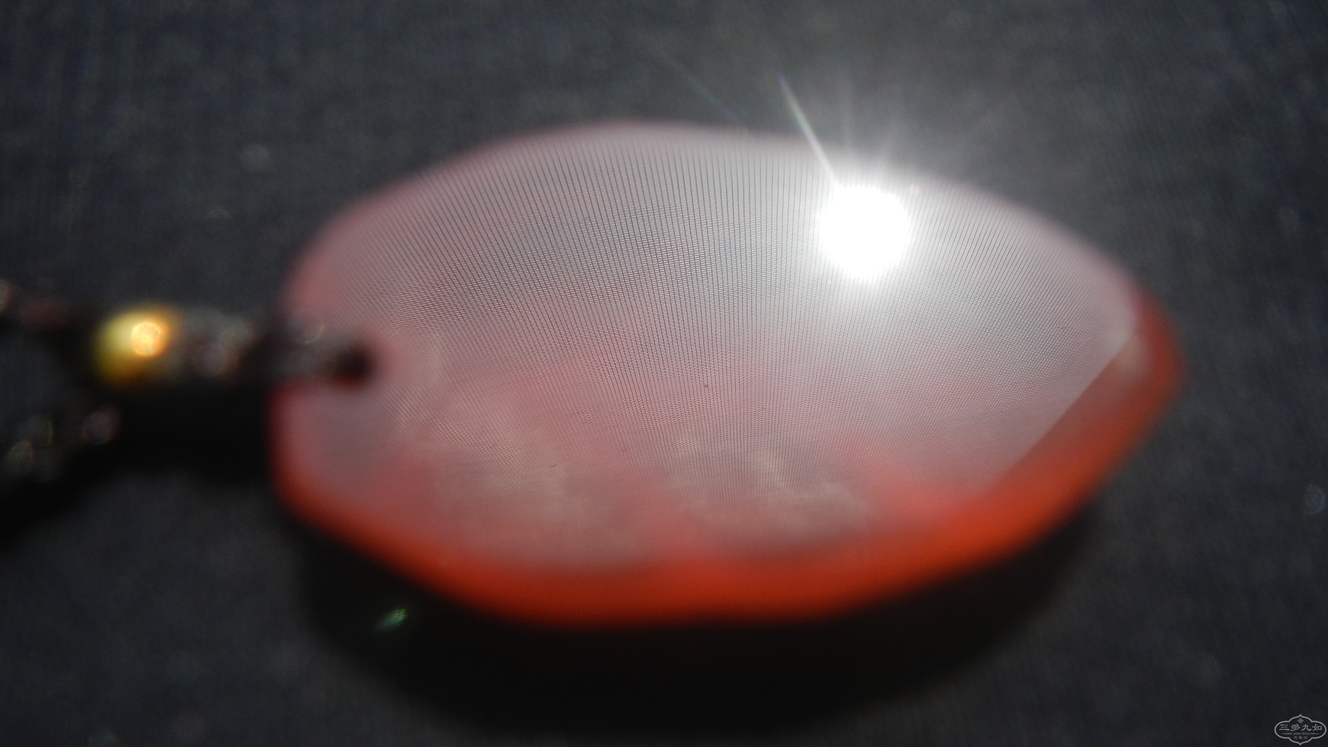 DSCN7368.JPG
