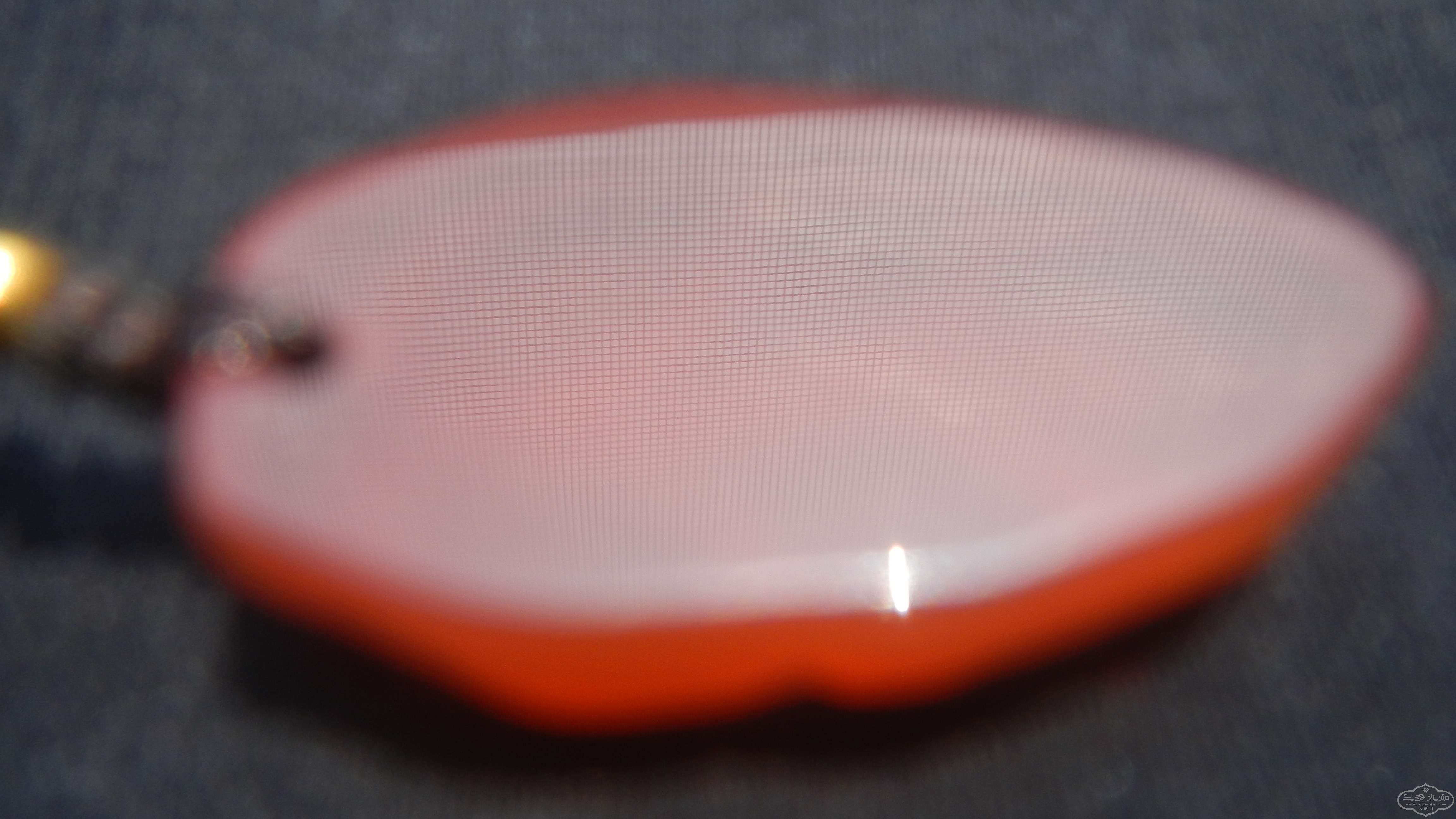 DSCN7379.JPG