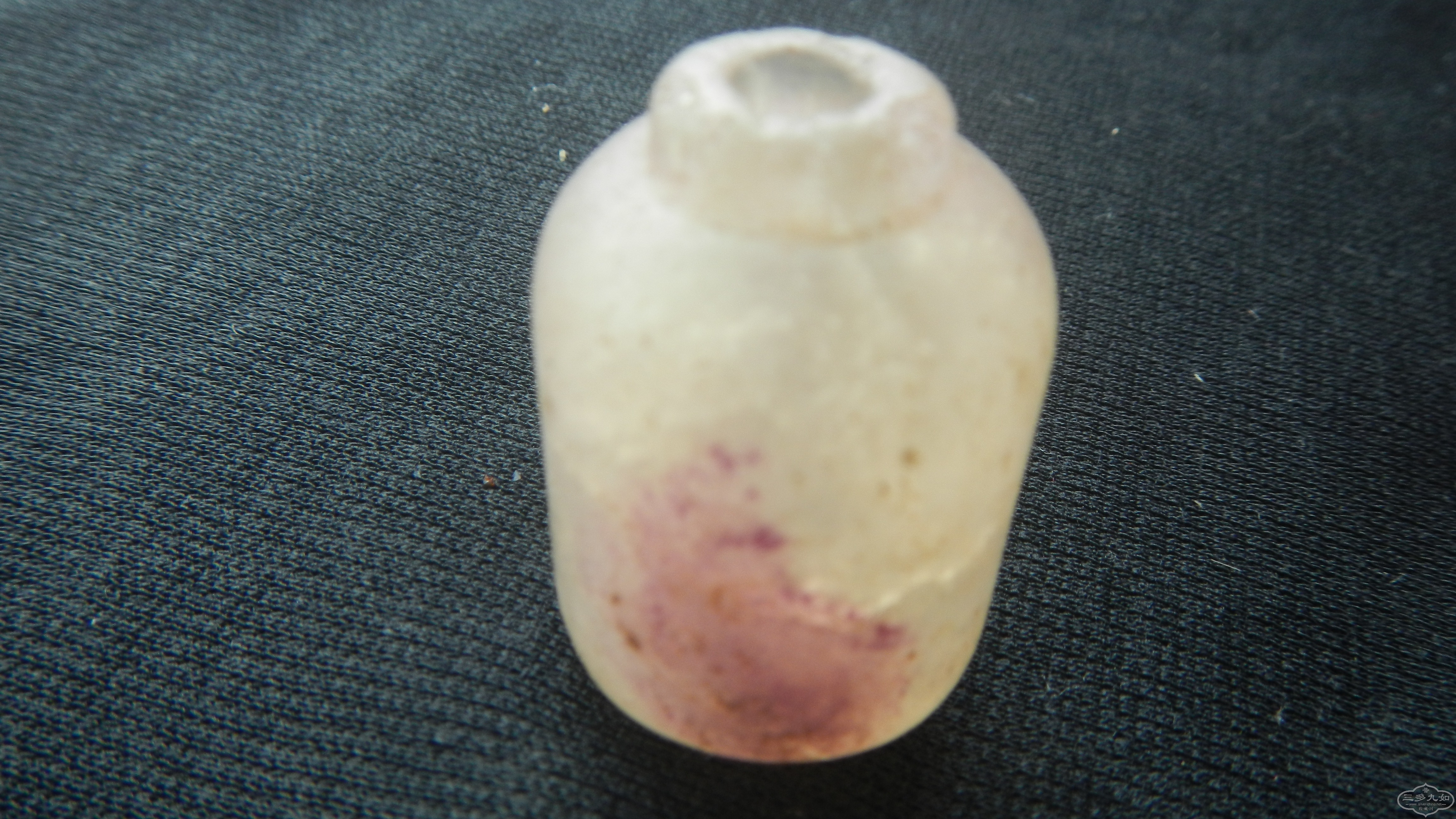 DSCN7539.JPG