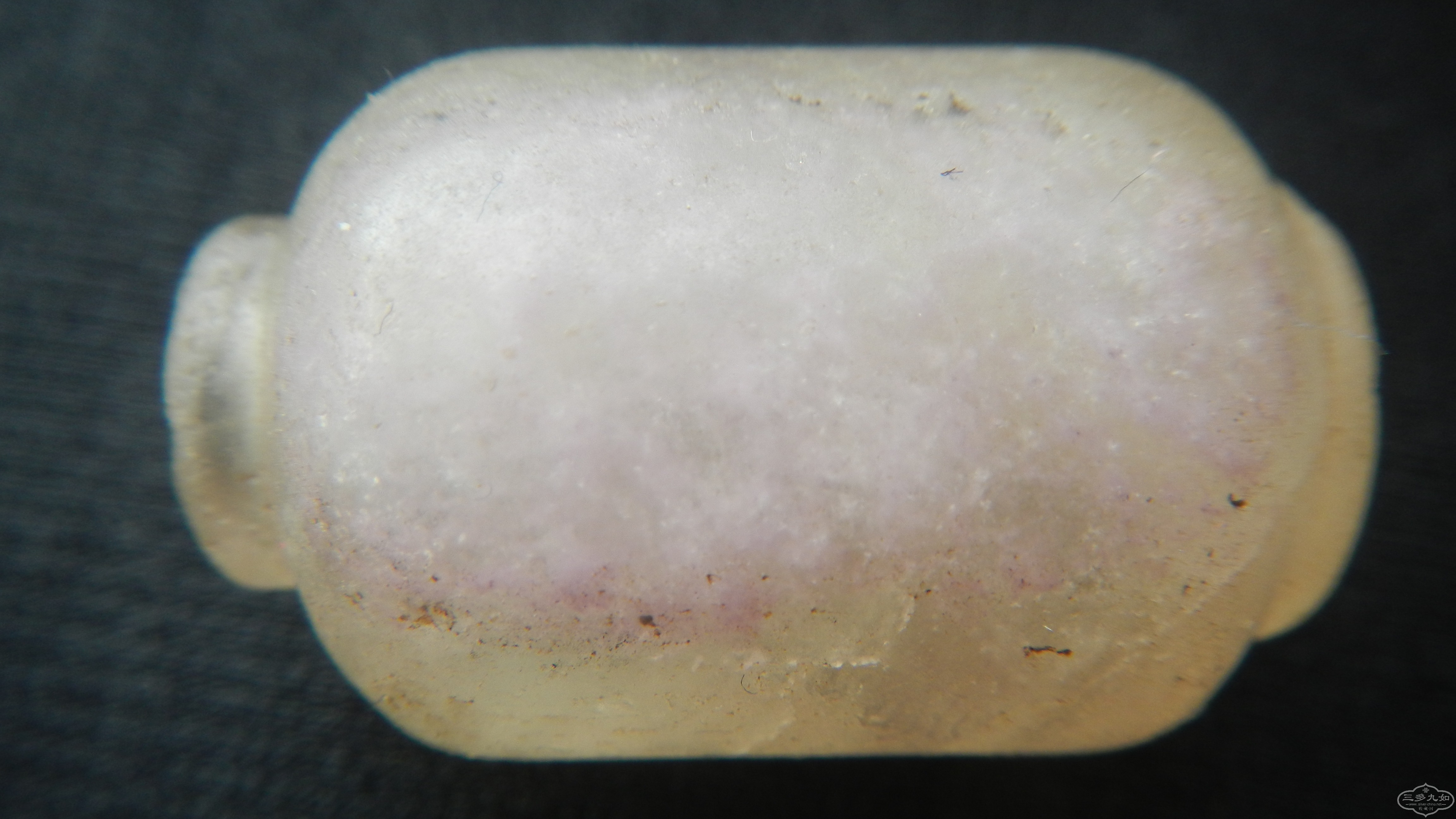 DSCN7543.JPG