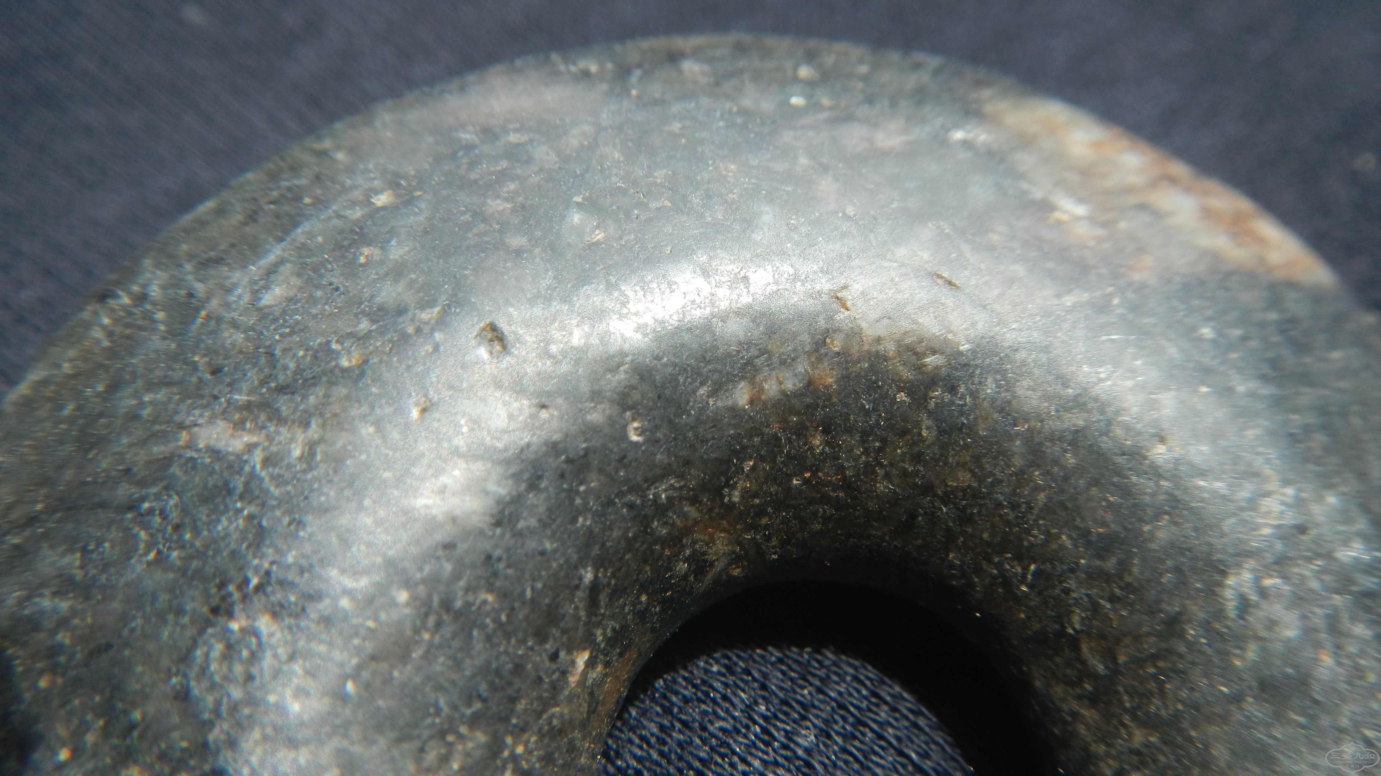 DSCN7568.JPG