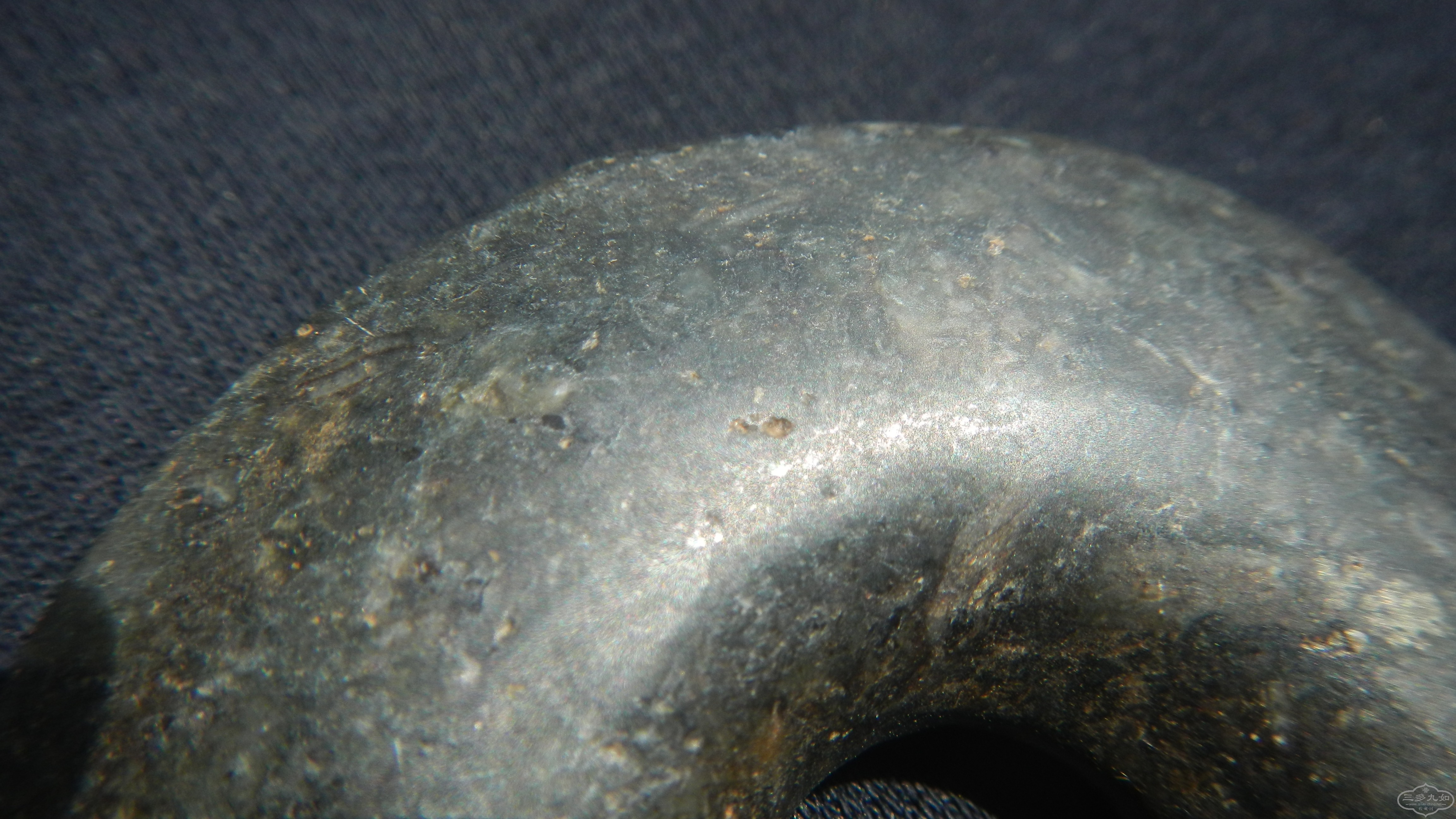 DSCN7571.JPG