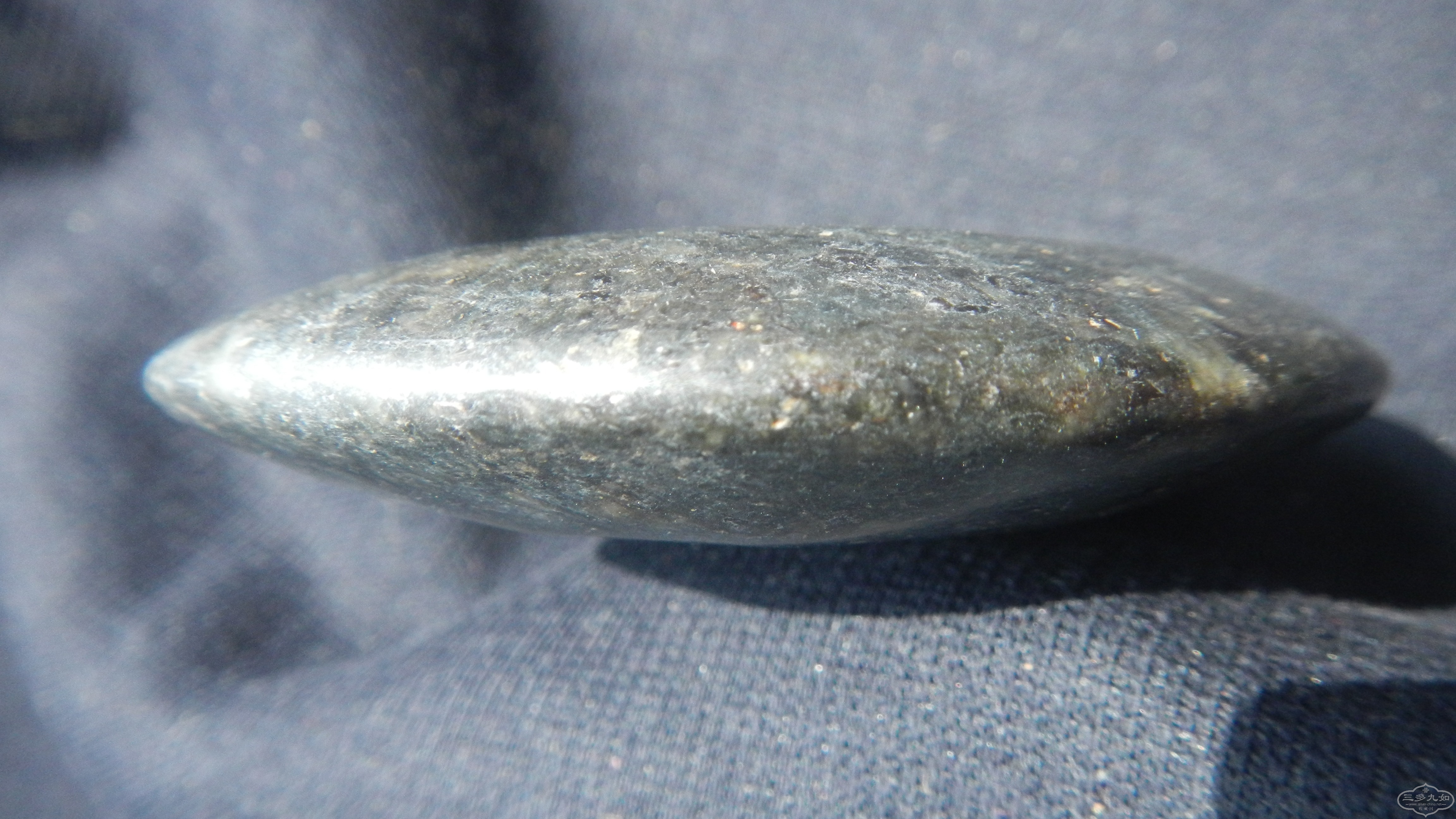 DSCN7575.JPG