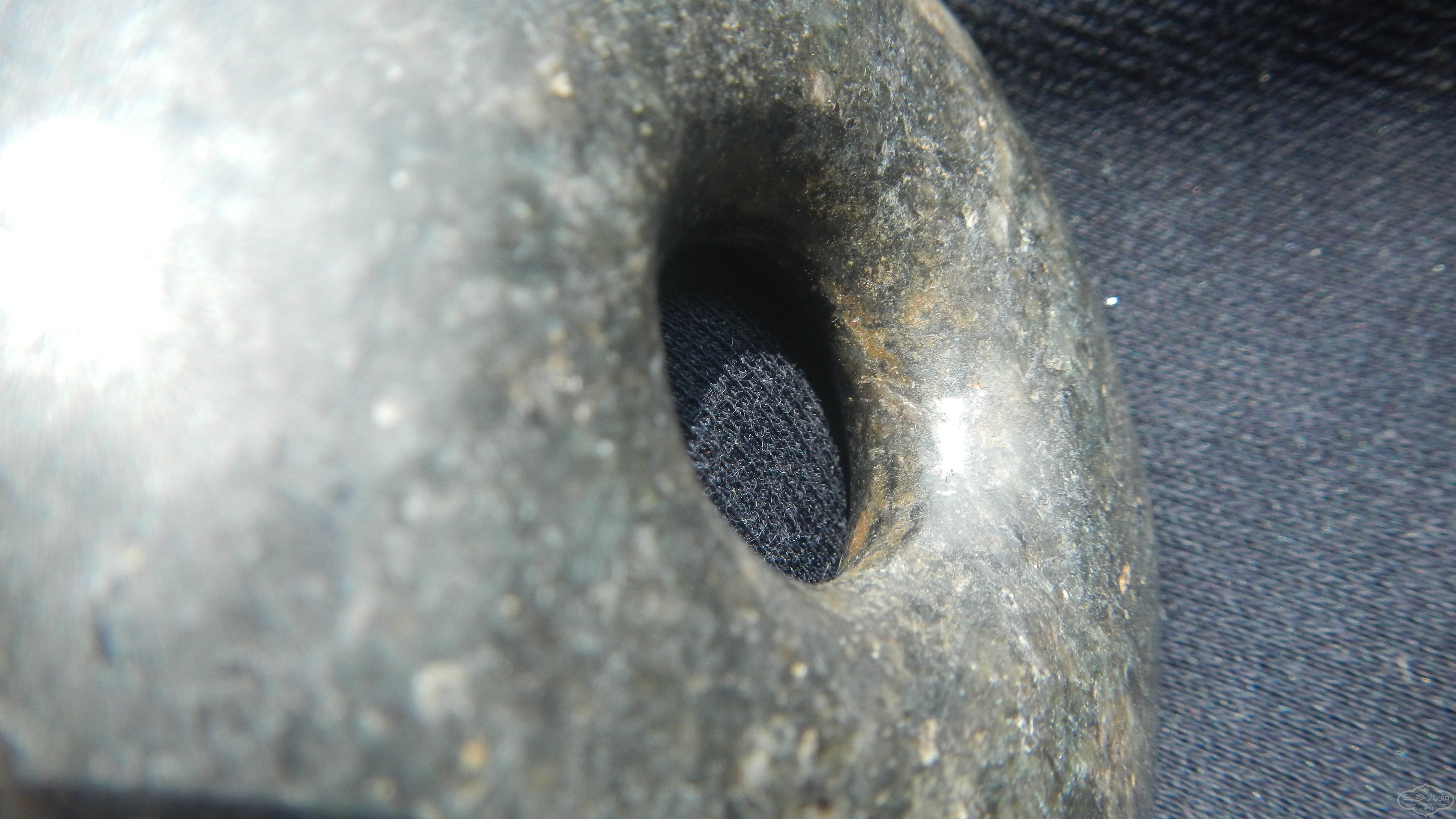 DSCN7576.JPG