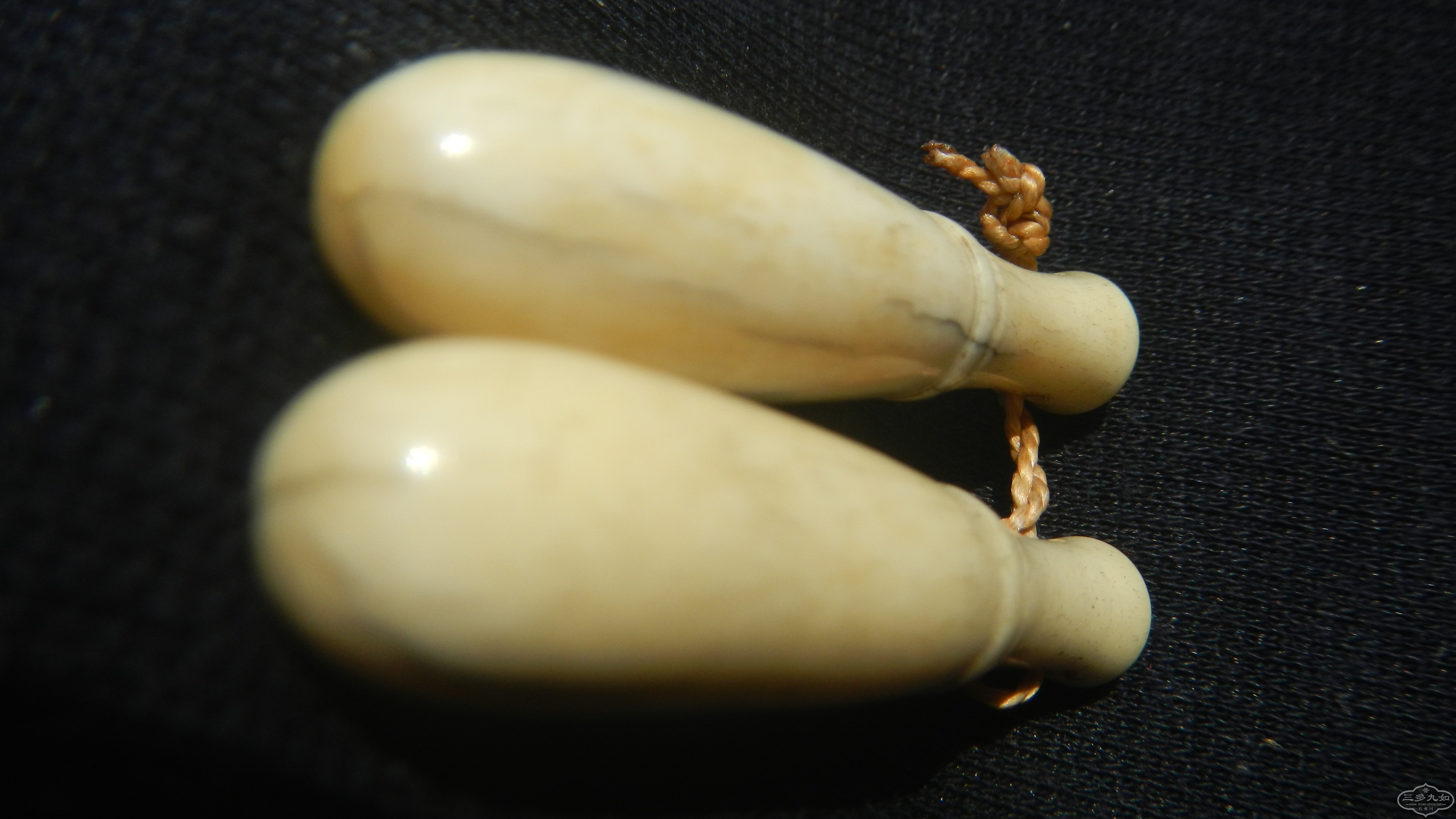 DSCN7584.JPG
