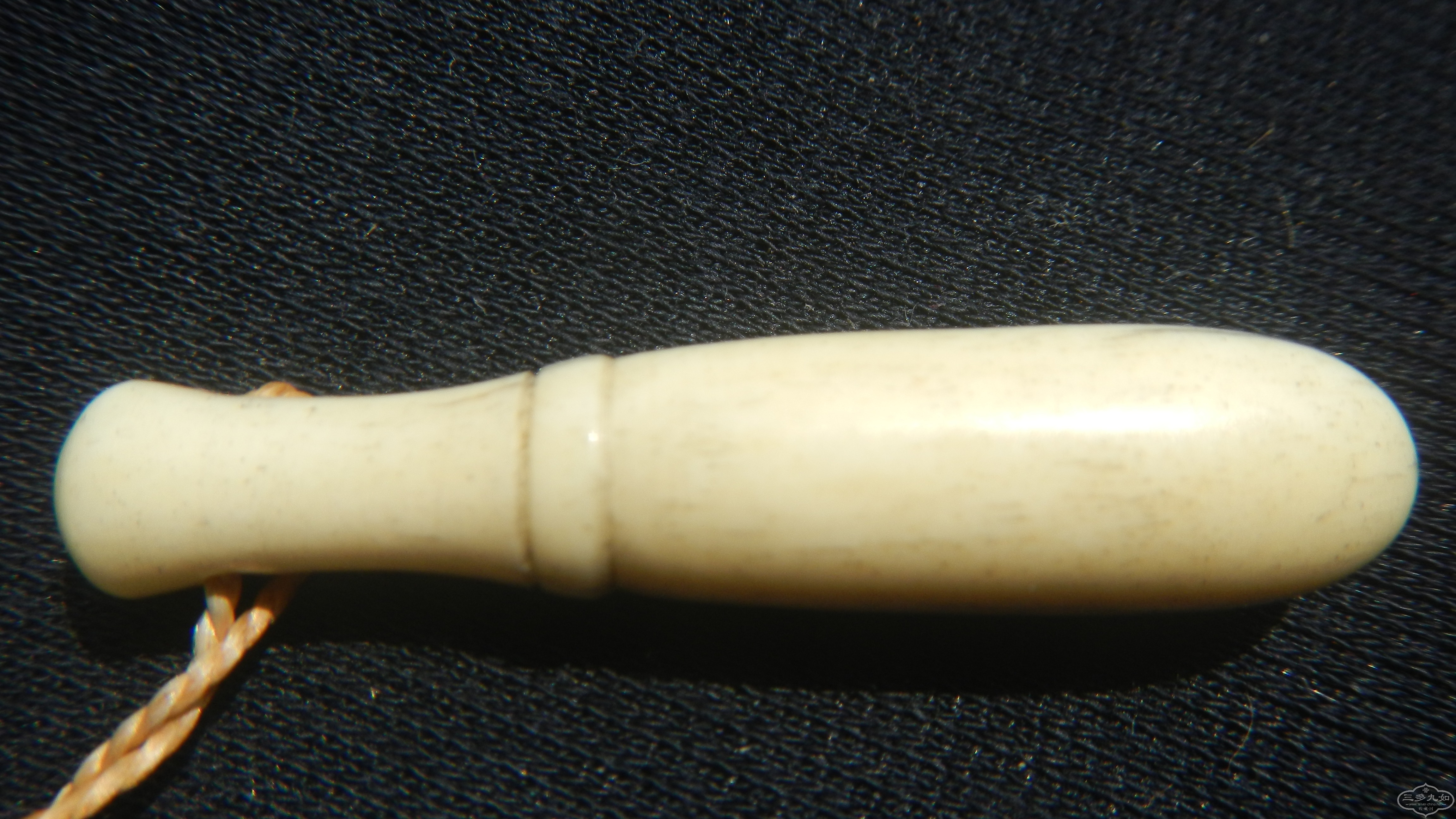 DSCN7585.JPG
