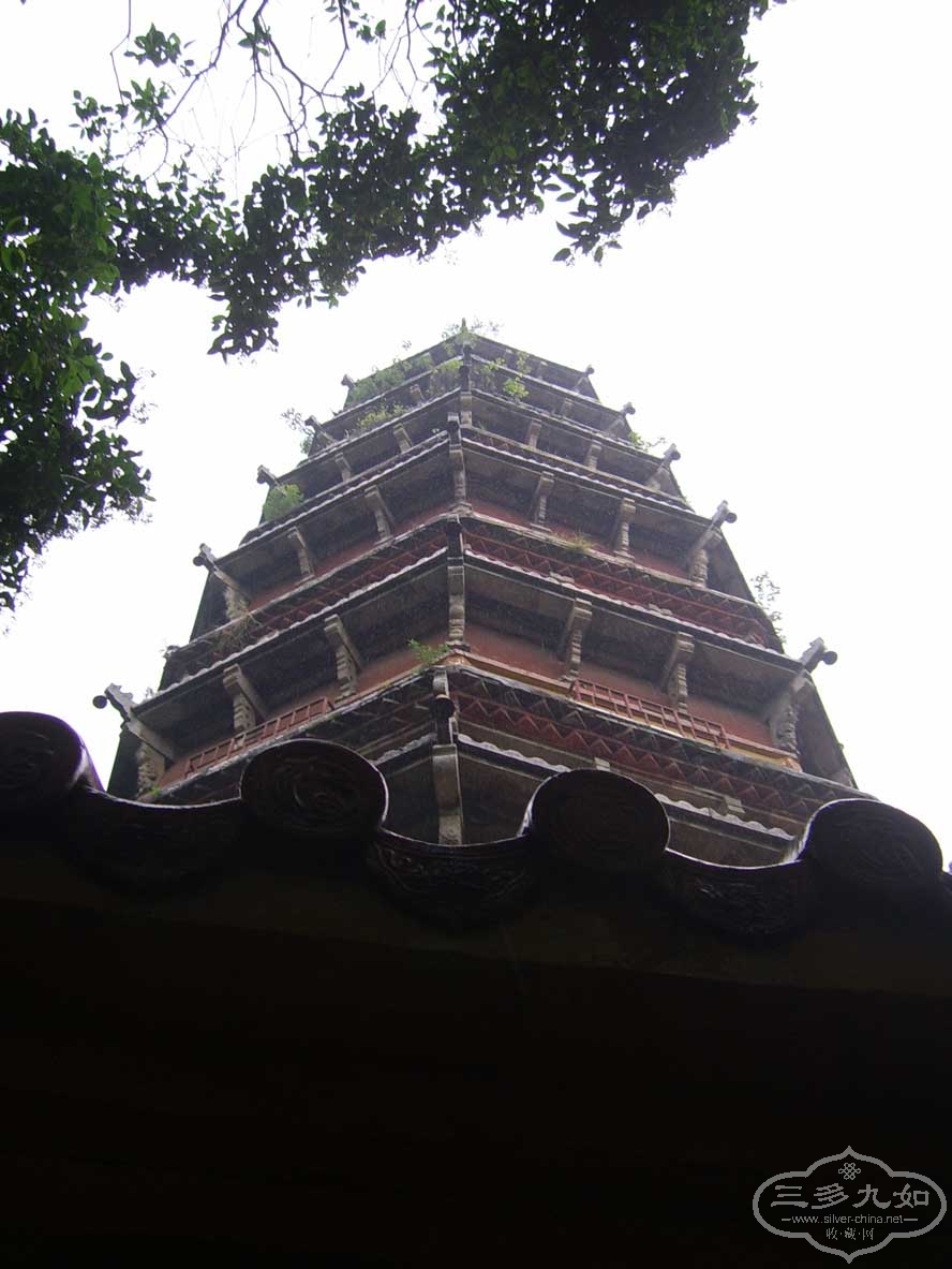 SSA41778.jpg