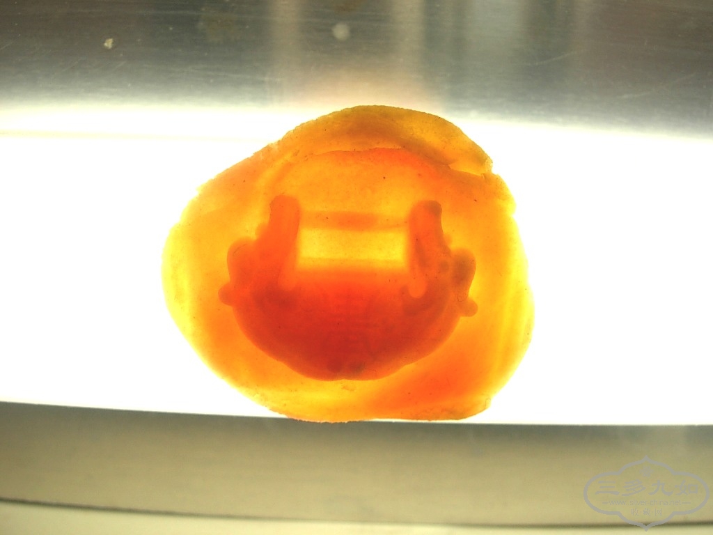DSCN5323.JPG