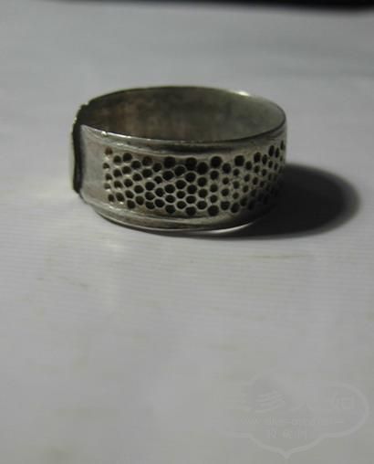 DSCN6378.jpg