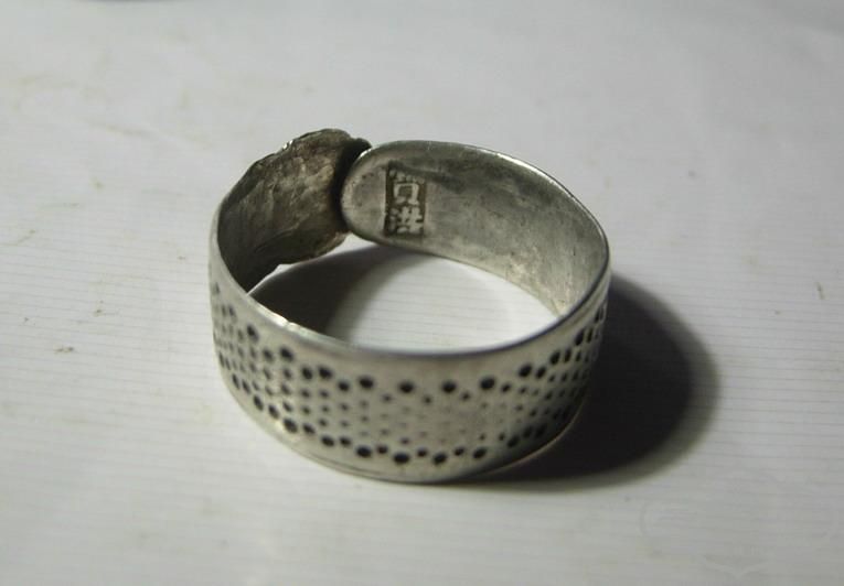DSCN6380.jpg