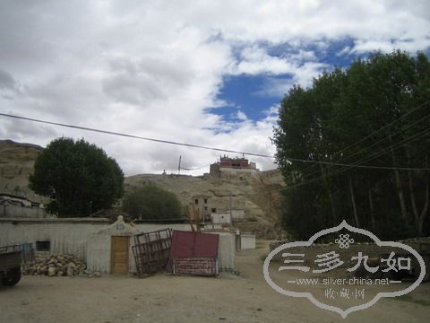 IMG_9421.jpg