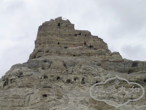 IMG_9429.jpg