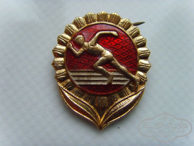 SNV30312.JPG