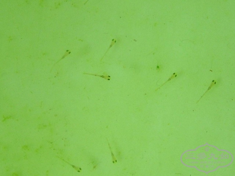 DSCF5802.JPG