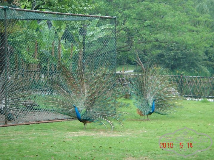 14.JPG