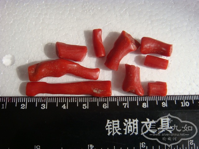 DSC01335.jpg