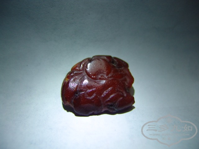 DSC01485.JPG