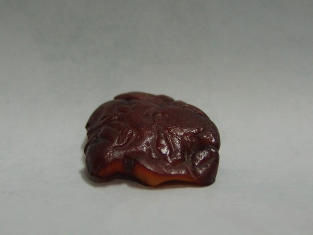 DSC01488.JPG