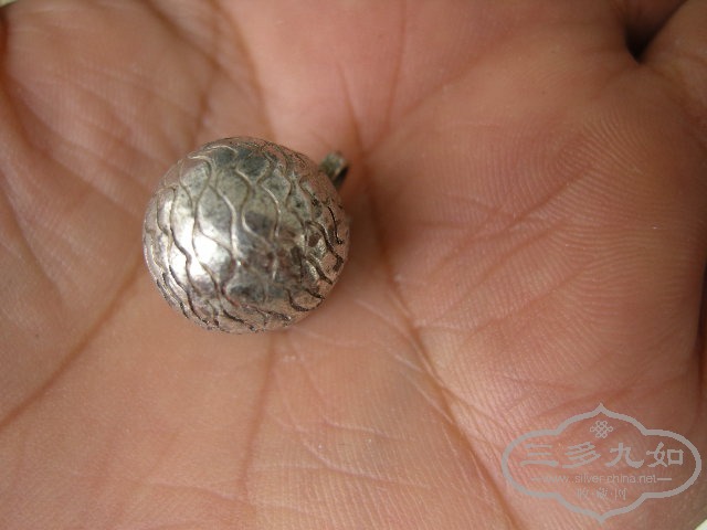 DSCN7793.JPG