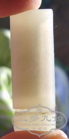 S8306118.jpg