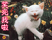 èЦ.gif