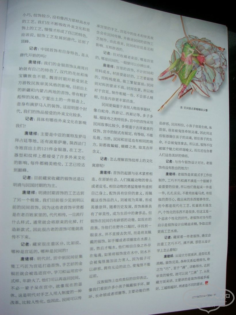 ת DSC06832.JPG