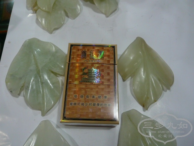 P1020120.JPG