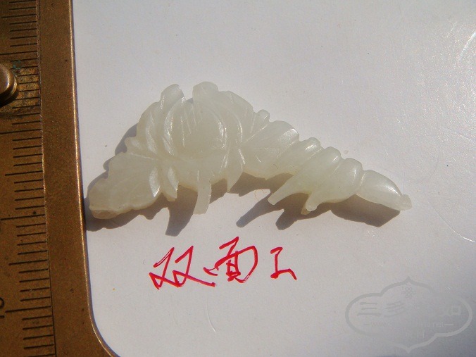 DSC06831.JPG