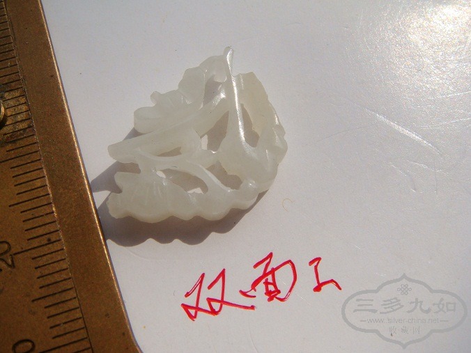DSC06842.JPG