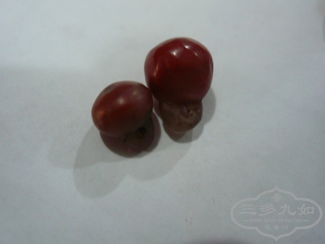 P1020904.JPG