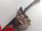 Ȫ G308ŷ޻ʱǮС׹
