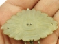 10184