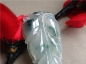 Ȫ C122-߰ʮƮ䡰ҶӡҼ