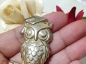 ˰ҵHedwig ̽èͷӥ 220