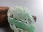 Ȫ桿G037ڱƮ䡰ڡ
