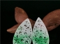 Ȫ桿i788ڰ׵Ʈ֦ˮСƬ