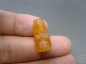 ڵϱ觹 ͨ