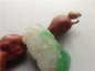 Ȫ H012ڱƮ䡰⻶׹